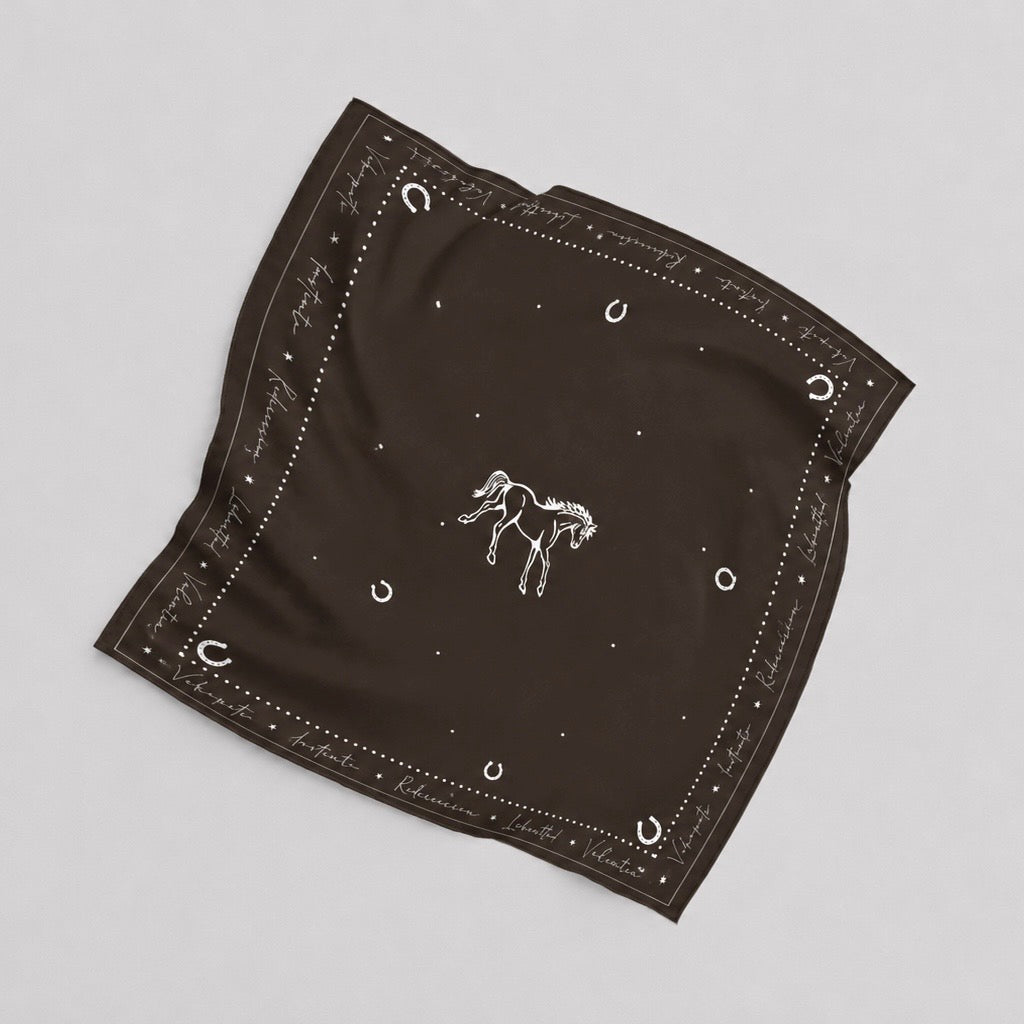 Matching headscarves combo | Brown horse