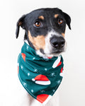 Apolo Vekopets