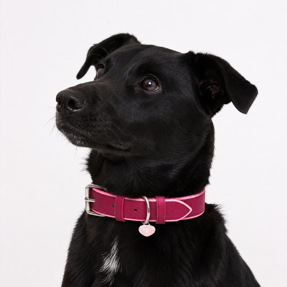 Vegan leather collar | Velvet Wine
