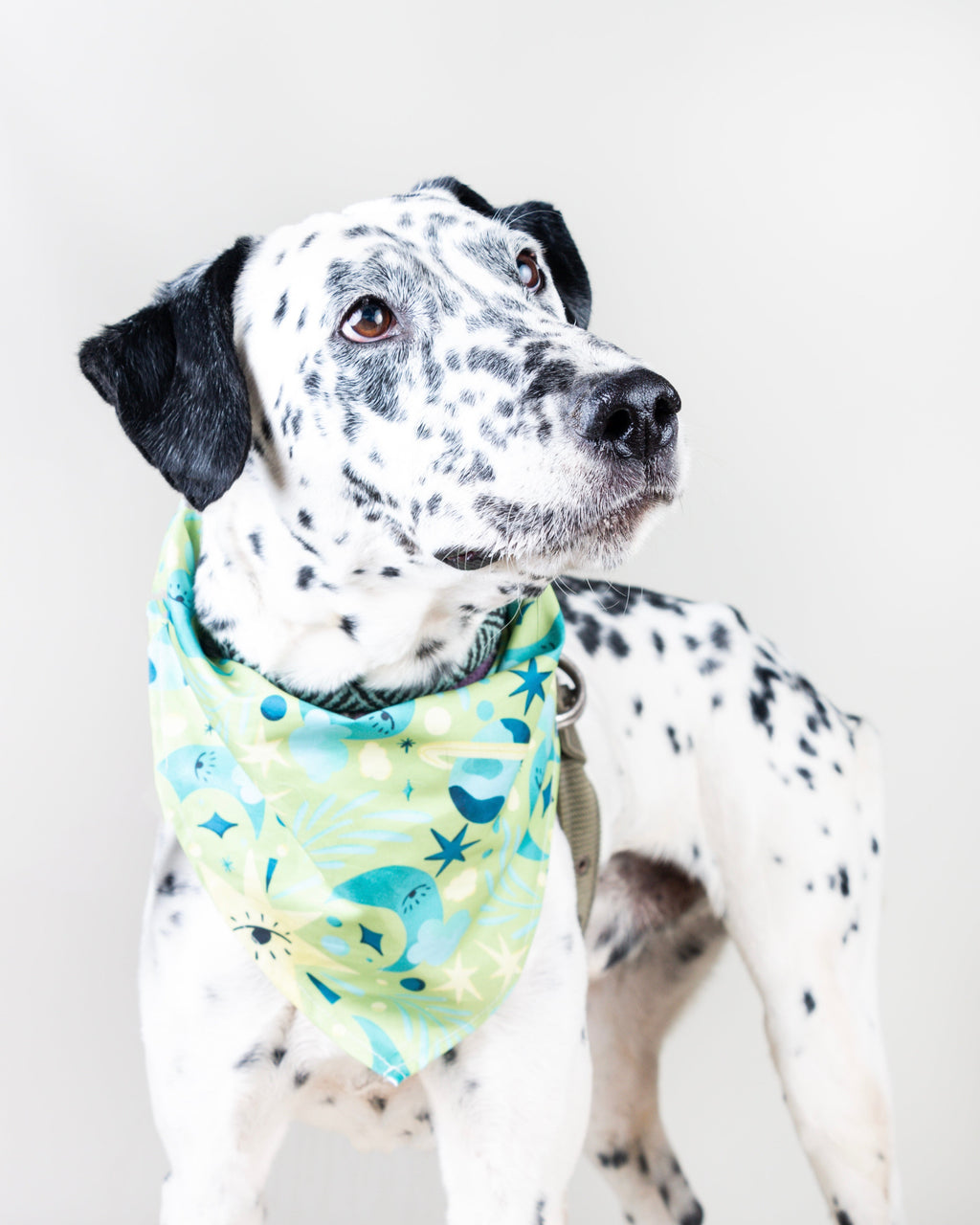 Lucky Vekopets