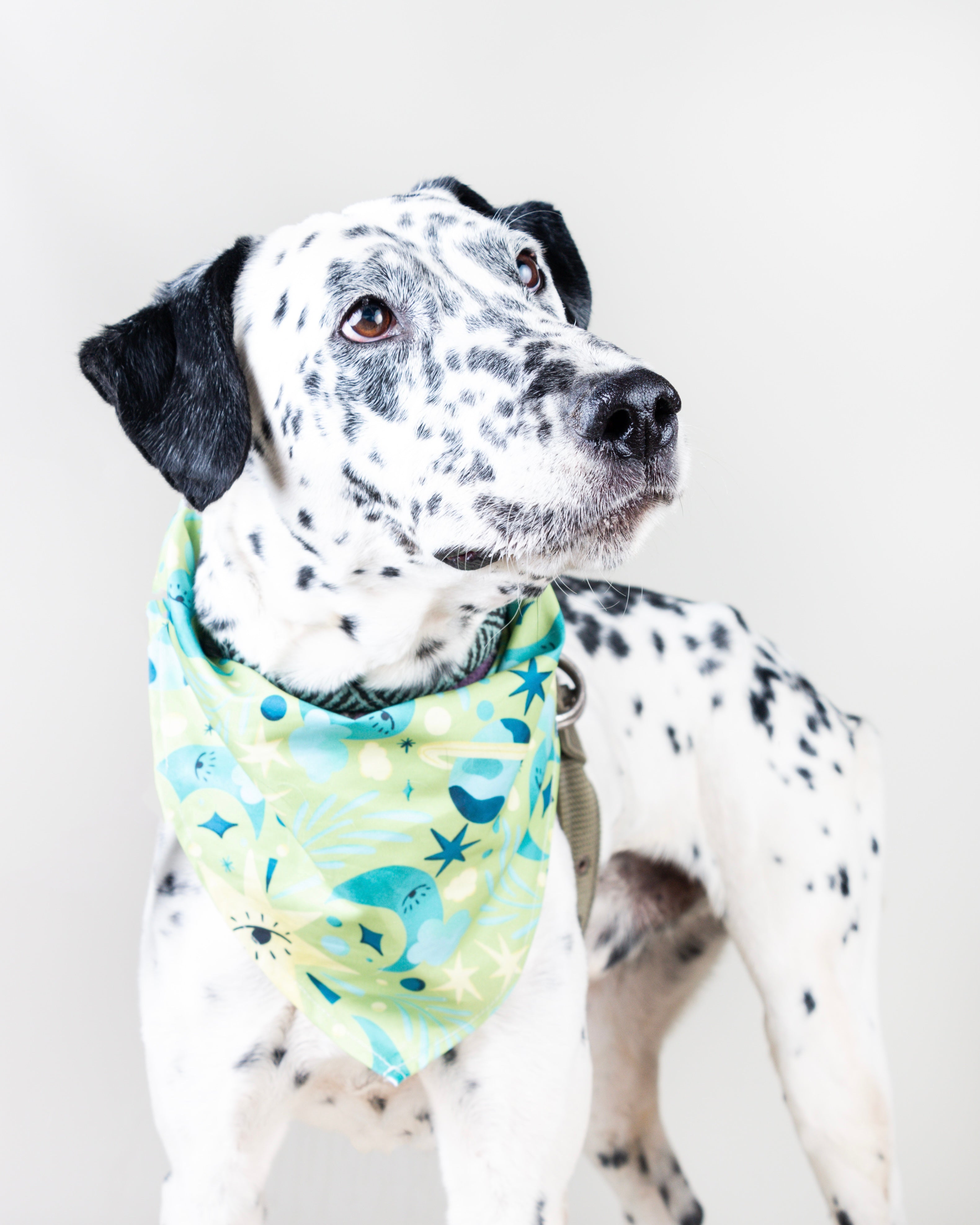Lucky Vekopets