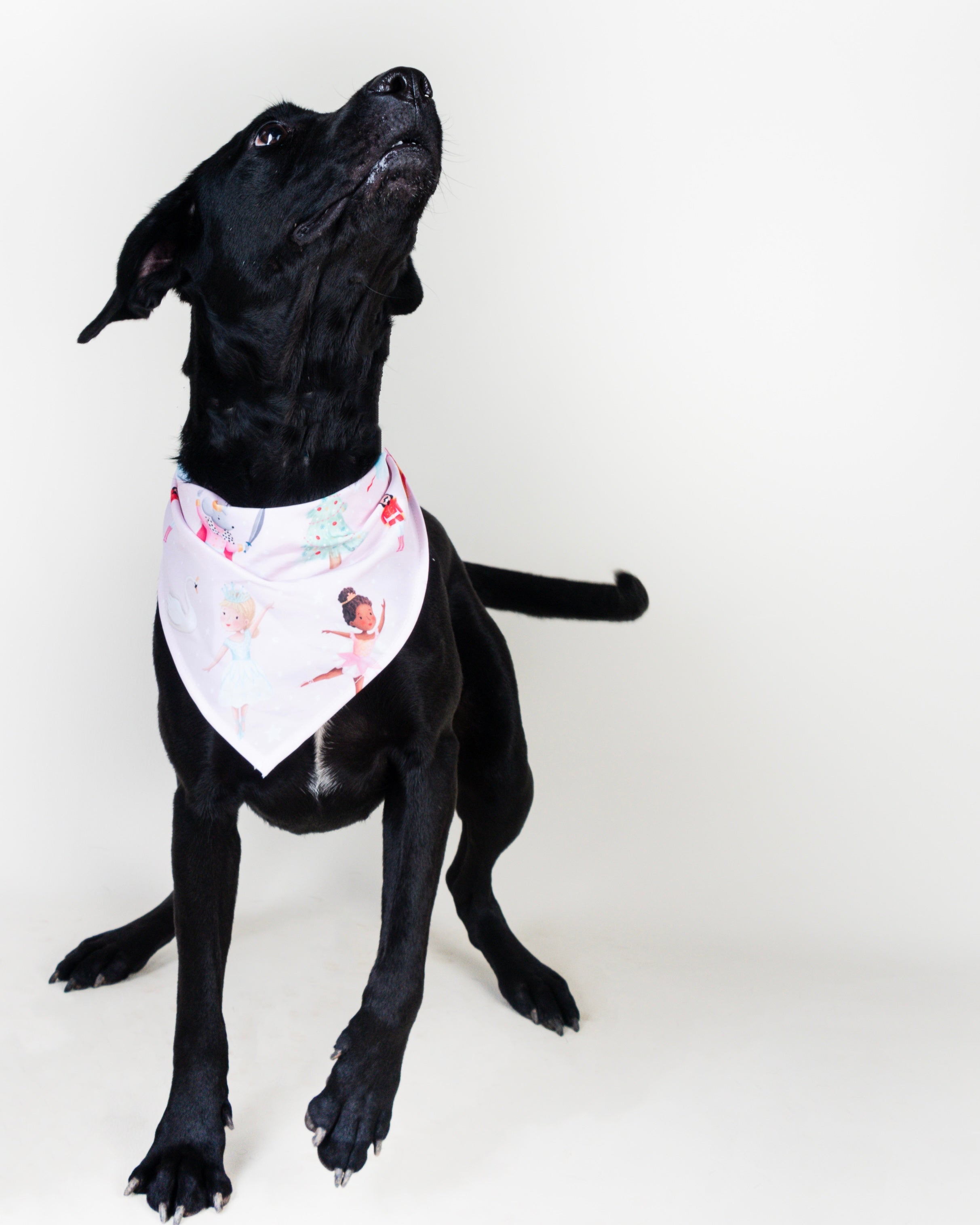 Luna Vekopets